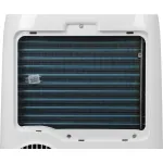 Electrolux Loft EACM-13 CL/N3