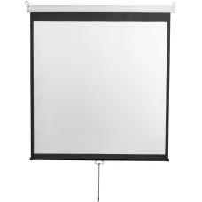 Экран Digis Optimal-D DSOD-1108 (настенно-потолочный, 167