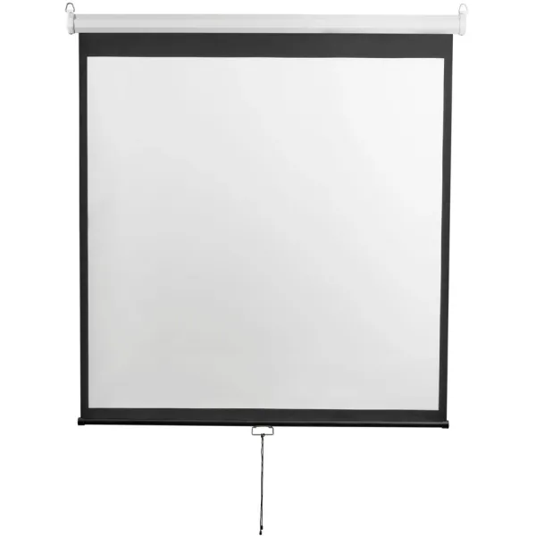 Экран Digis Optimal-D DSOD-1108 (настенно-потолочный, 167