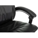 Кресло руководителя Бюрократ T-9950MSG-F