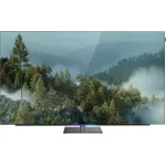 OLED-телевизор Skyworth 65SXF9850 (65