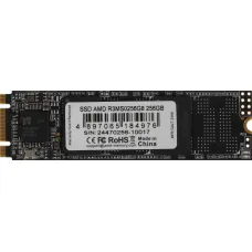 Жесткий диск SSD 256Гб AMD (2280, 520/450 Мб/с)