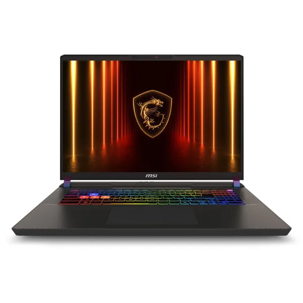 Ноутбук MSI Vector 17 HX A2XWJG (Intel Core Ultra 9 275HX 2.7 ГГц/32 ГБ DDR5 5600 МГц/17