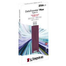 Накопитель USB Kingston DTMAXA/256GB