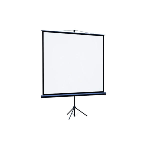 Экран Lumien Eco View LEV-100112 (напольный, 116