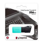 Накопитель USB Kingston DTXM/256GB