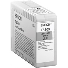 Картридж Epson C13T850900 (светло-серый; 80мл; SC-P800, SC-P800 (Roll Unit Promo)) [C13T850900]