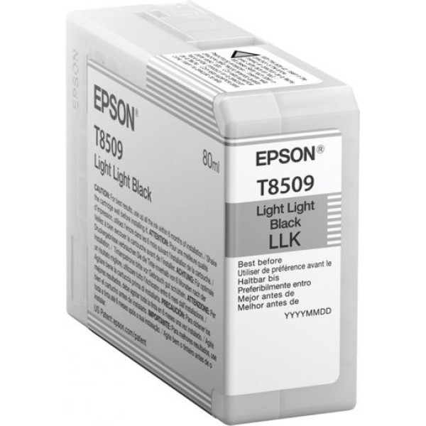 Картридж Epson C13T850900 (светло-серый; 80мл; SC-P800, SC-P800 (Roll Unit Promo))