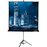 Экран Lumien Master View LMV-100106 (переносной, 81