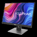 Монитор ASUS PA248QV (24,1