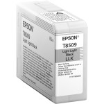 Картридж Epson C13T850900 (светло-серый; 80мл; SC-P800, SC-P800 (Roll Unit Promo))