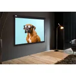 Экран Cactus Wallscreen CS-PSW-183X244-BK (настенно-потолочный, 120,08