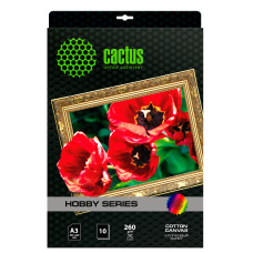 Холст Cactus CS-СA326010 (A3, 260г/м2, для струйной печати, односторонняя, 10л) [CS-СA326010]
