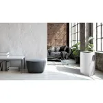 Electrolux Loft EACM-13 CL/N3