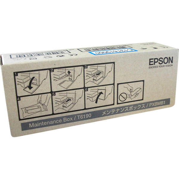 Epson C13T619000