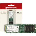 Жесткий диск SSD 250Гб Transcend (2280, 500/330 Мб/с, 75000 IOPS, SATA 3Гбит/с)
