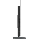 OLED-телевизор Skyworth 55SXF9800 (55