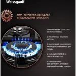 Weissgauff HGG 641 BGSV