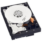 Жесткий диск HDD 500Гб Western Digital (150/150 Мб/с, SATA 3Гбит/с, 32Мб, 7200об/мин)