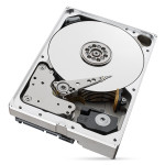 Жесткий диск HDD 10Тб Seagate Enterprise Capacity 3.5 HDD (Helium) (3.5