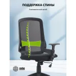 Кресло Cactus CS-MC313-BK