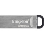 Накопитель USB Kingston DTKN/256GB