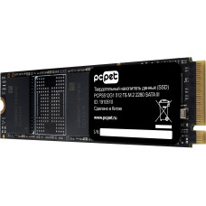 Жесткий диск SSD 512Гб PC Pet (2280, 500/450 Мб/с) [PCPS512G1]