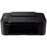 МФУ Canon Pixma TS3640 [6670C007]