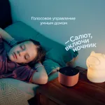 Портативная акустика Sber Boom Home