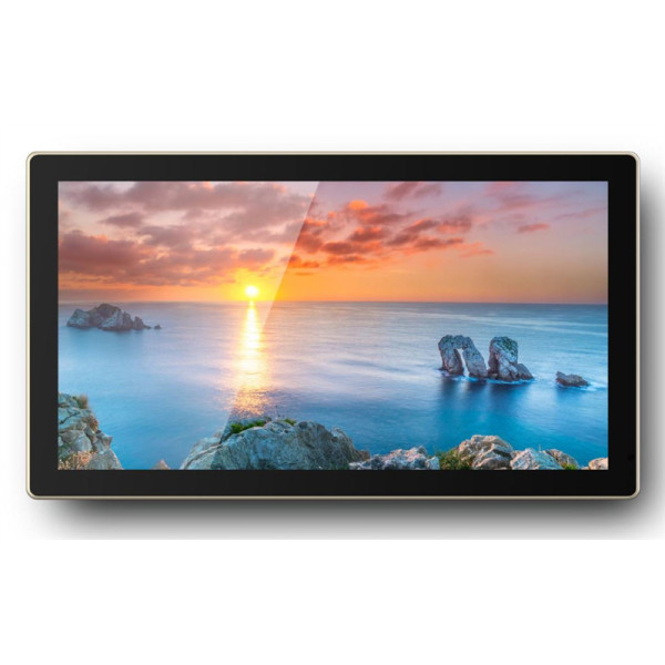 Панель Goodview TC22H1 (21,5