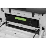 Pantum CP1100 (лазерная, цветная, A4, 1024Мб, 1200x600dpi, 30'000стр в мес, USB)