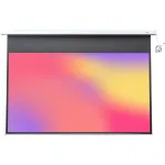 Экран Lumien Master Control LMC-100112 (настенно-потолочный, 196