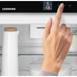 Холодильник полностью встраиваемый Liebherr ICSE 5103 (A+, 2-камерный, объем 273:190/83л, 541x1770x545см)