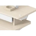 Стол компьютерный Cactus CS-EDL-DWT