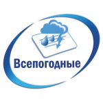 Этикетки Avery Zweckform (A4, односторонняя, 8 листов, серебристый, накл: 1шт, 210x297мм)