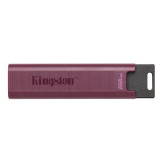 Накопитель USB Kingston DTMAXA/256GB