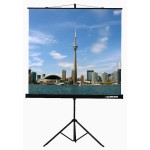 Экран Lumien Eco View LEV-100103 (напольный, 111